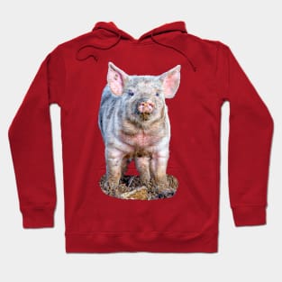 Dirty little piglet Hoodie